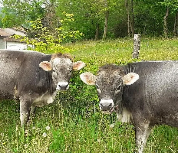 Agriturismo Dell'Altopiano Serle 0*,